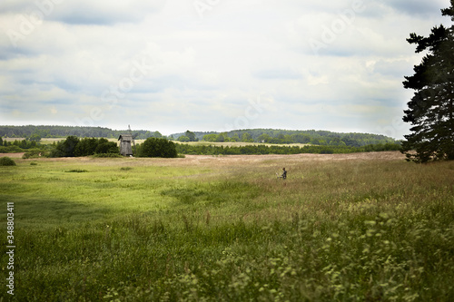 View on a meadow field