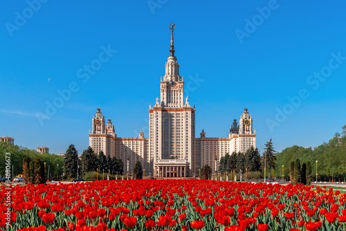 Field of red tulips in front of Moscow State University. 9th May.