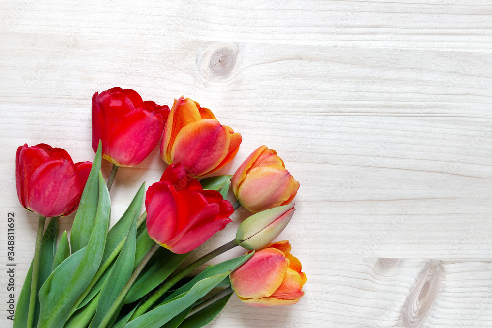 Bouquet of red blooming tulips on textured wooden background. Photo with copy blank space.