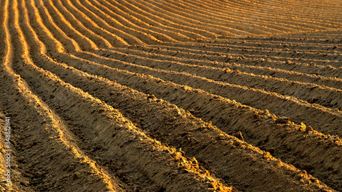 Rolnictwo- zaorane pole w promieniach zachodzącego słońca photo