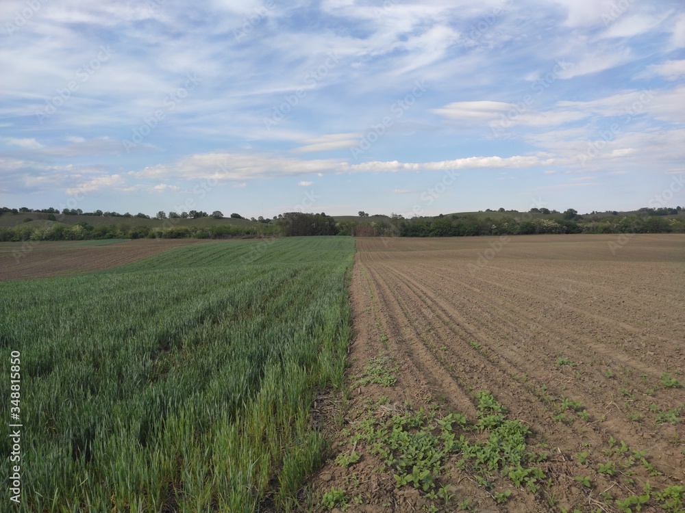 Serbian fertile cropland Banat spring scenery Serbian fertile cropland Banat spring scenery