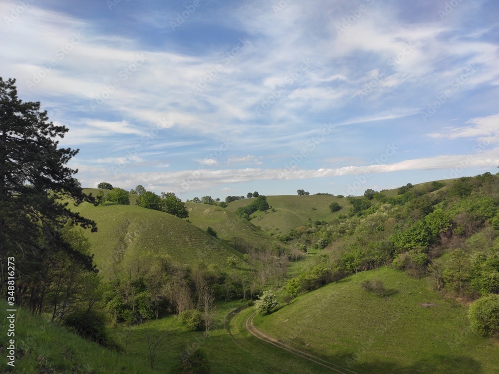Naklejka premium Zagajicka brda Deliblato green desert Serbia landscape