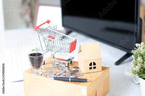 shopping online concept- home delivery for shopping online business. shop at home.