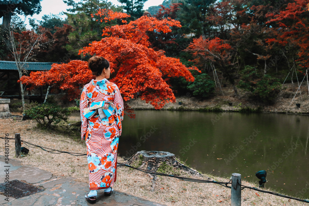 Asian woman turned backs on  camera and looking autumn tree and pond in nature during autumn season in Kyoto, Japan