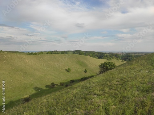 European green desert Deliblato sandy terrain landscape Serbia 