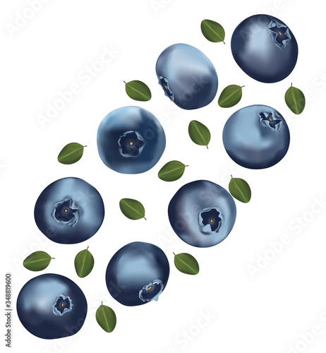 Set of blueberry with leaves on white background. Fresh blueberry fruits are whole. Useful ripe fresh blueberry rich in vitamins, natural product. 3D realistic illustration.