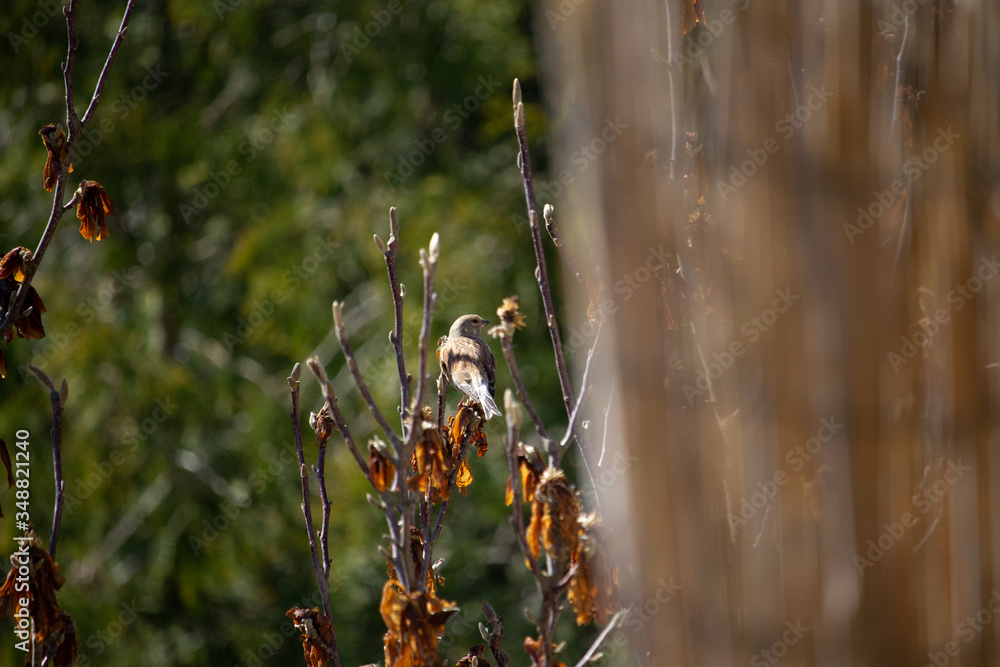 Gartenbesuch Gartenbesuch