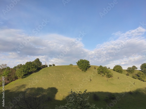 European green desert Deliblato sandy terrain landscape Serbia 