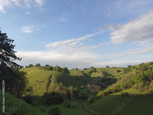 European green desert Deliblato sandy terrain landscape Serbia 