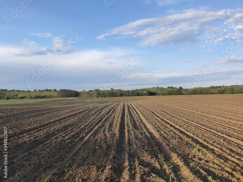 Serbian fertile cropland Banat spring scenery