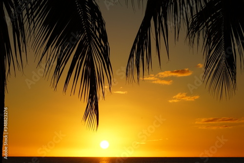 Palm tree silhouette and sea at a tropical beach © Nacho Á Ortiz-Repiso