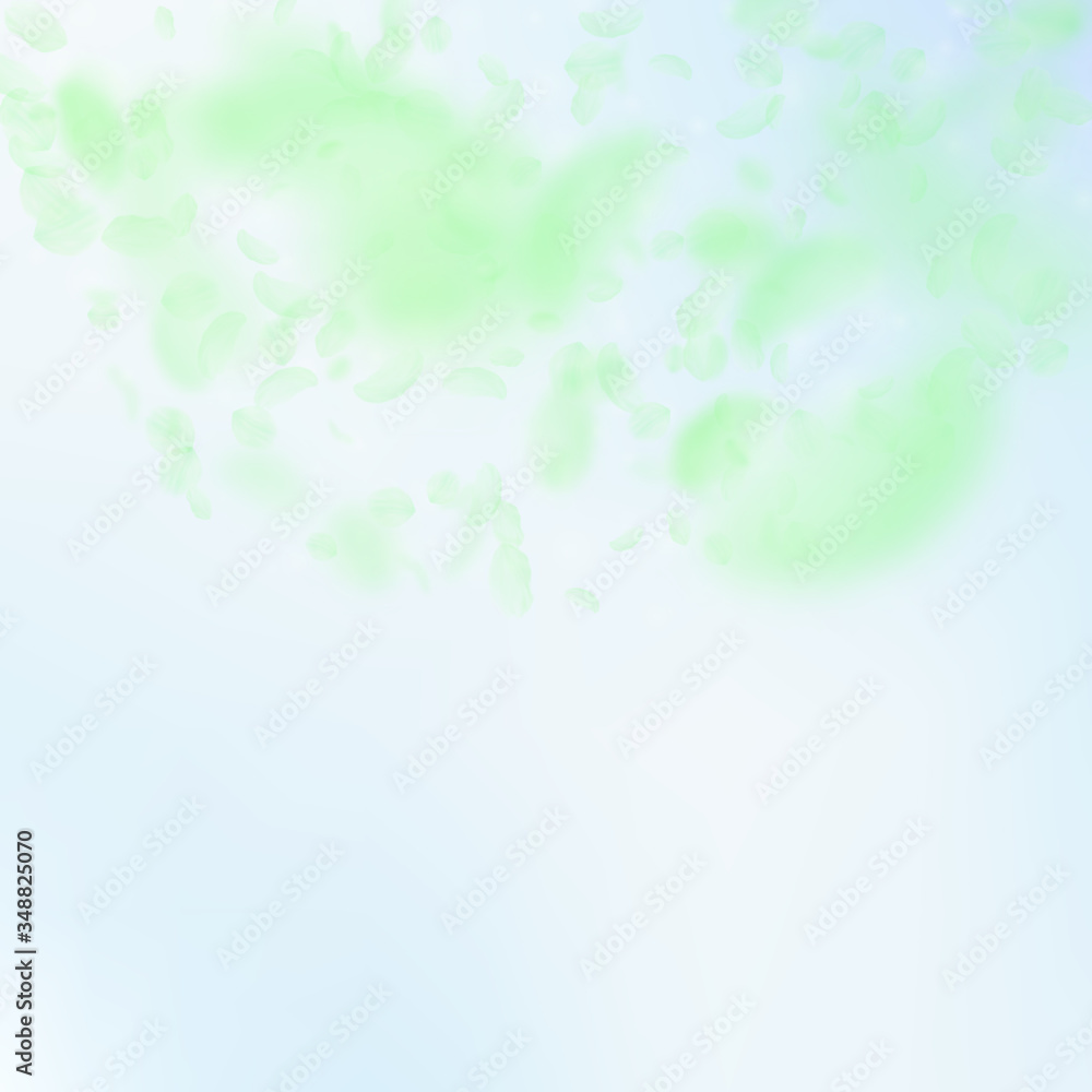 Green flower petals falling down. Favorable romant Green flower petals falling down. Favorable romant