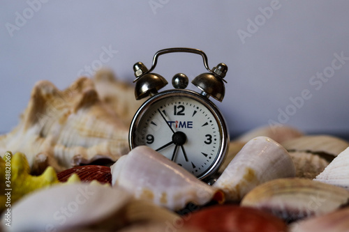 alarm clock and shells