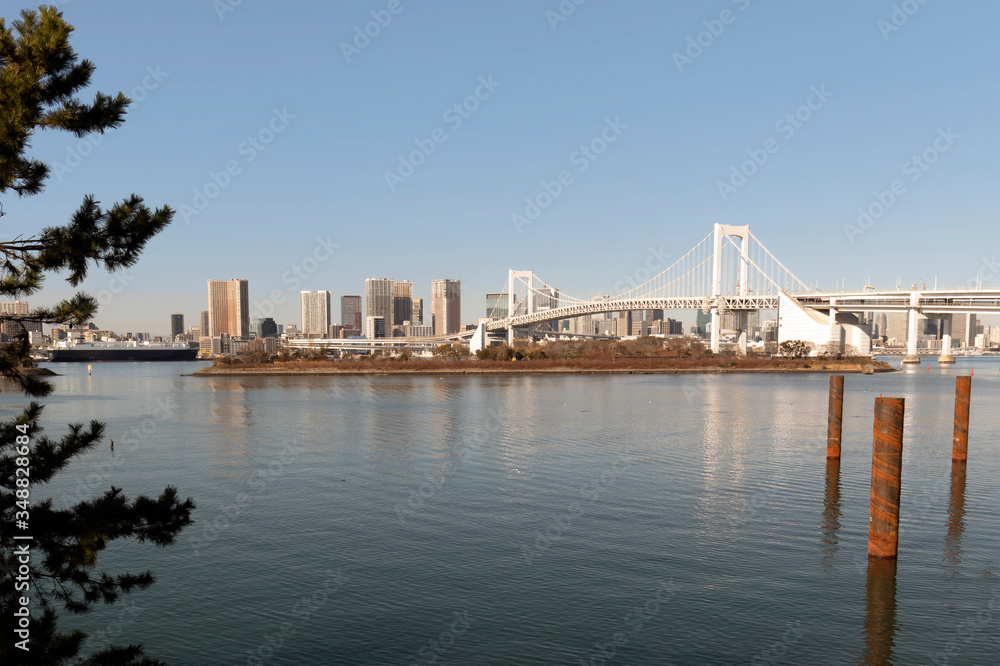 Fototapeta premium Tokyo skyline and bridge
