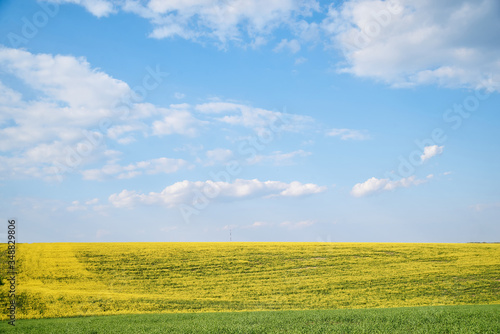 Beautiful yellow rapeseed field landscape. Countryside village rural natural background .Green and yellow plants on brown ground and blue sky with clouds. Nature protection concept.