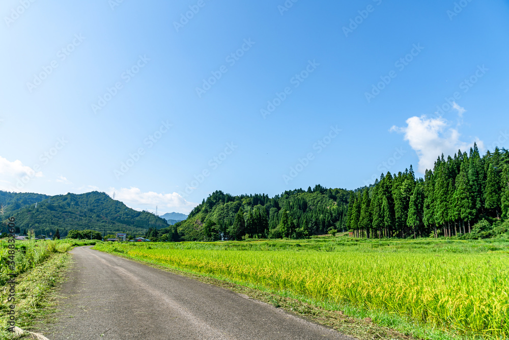 【ふるさとイメージ】夏の只見駅付近の風景
