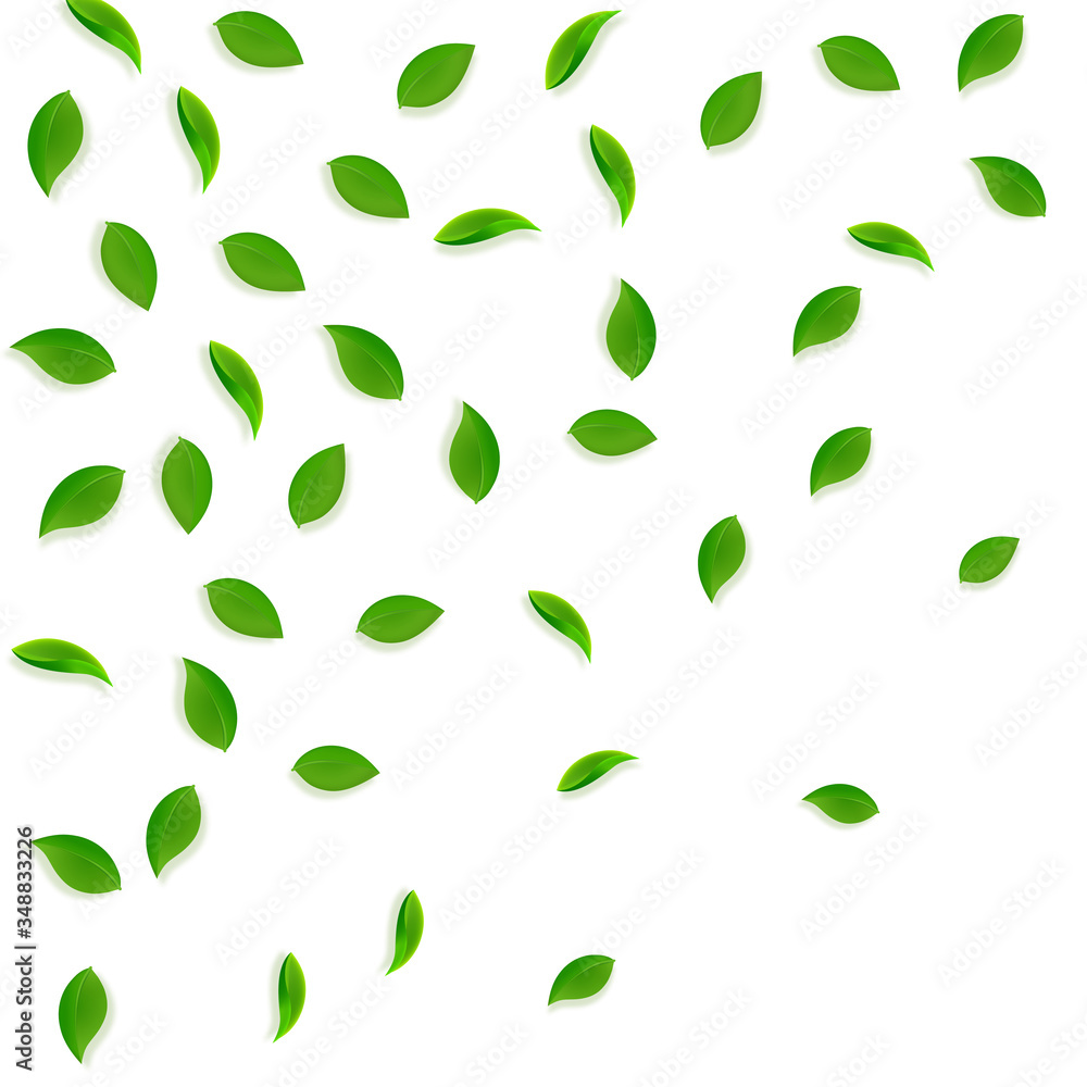 Falling green leaves. Fresh tea random leaves flyi Falling green leaves. Fresh tea random leaves flyi