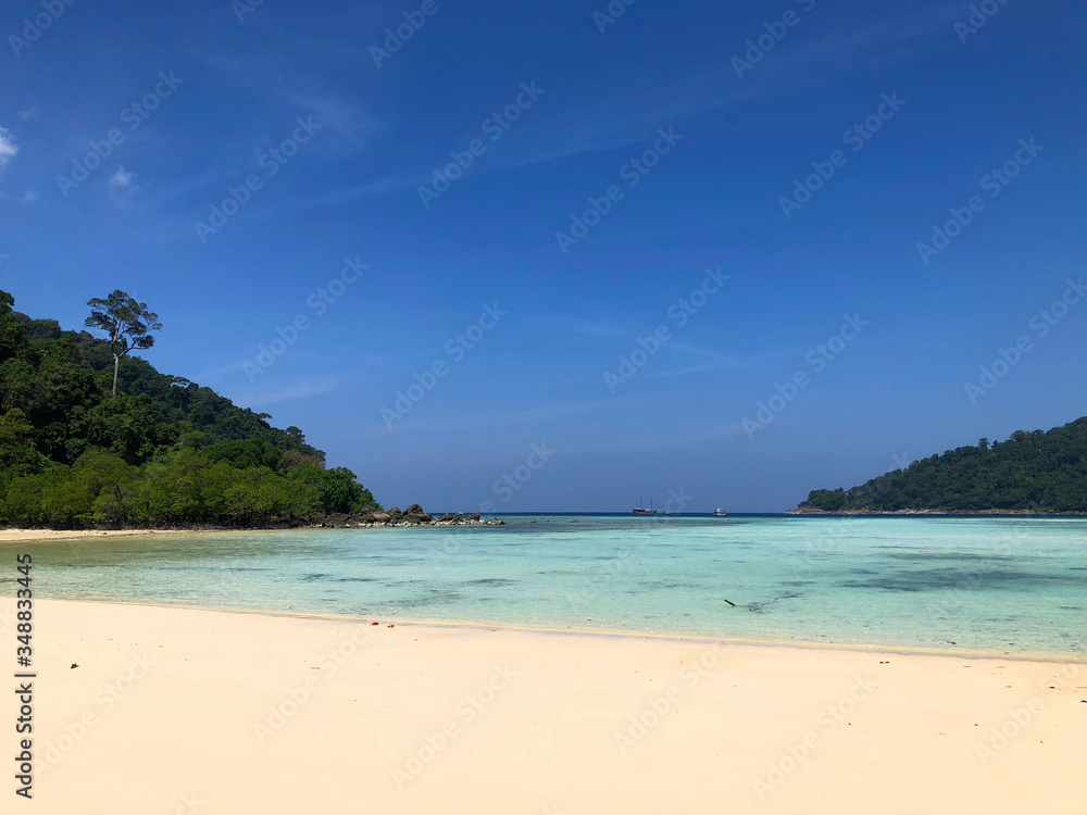 tropical beach with coconut trees