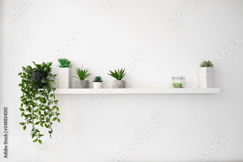 Foto White square frame and a group of indoor plants on a bookshelf