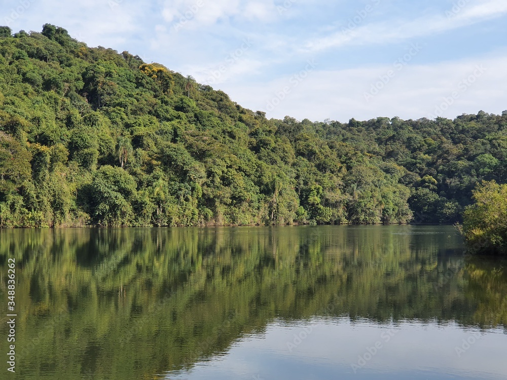 lake in the forest