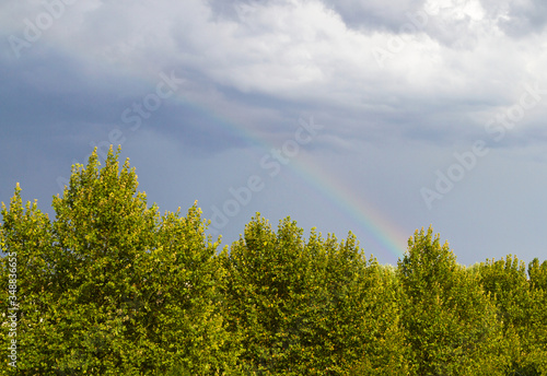 Cloudy sky with rainbow above the trees of a city park