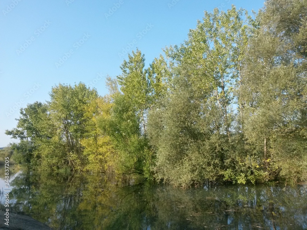 lake reflecting green forest close to the woods in summer season on sunny day with blue sky