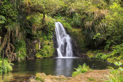 A waterfall in New Zealand, surrounded by native forest (Whataroa Falls in the Otanewainuku Forest, Bay of Plenty) 