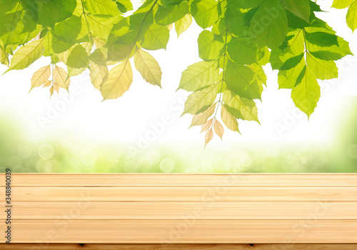 Wood table top with beautiful green leaves backgkround