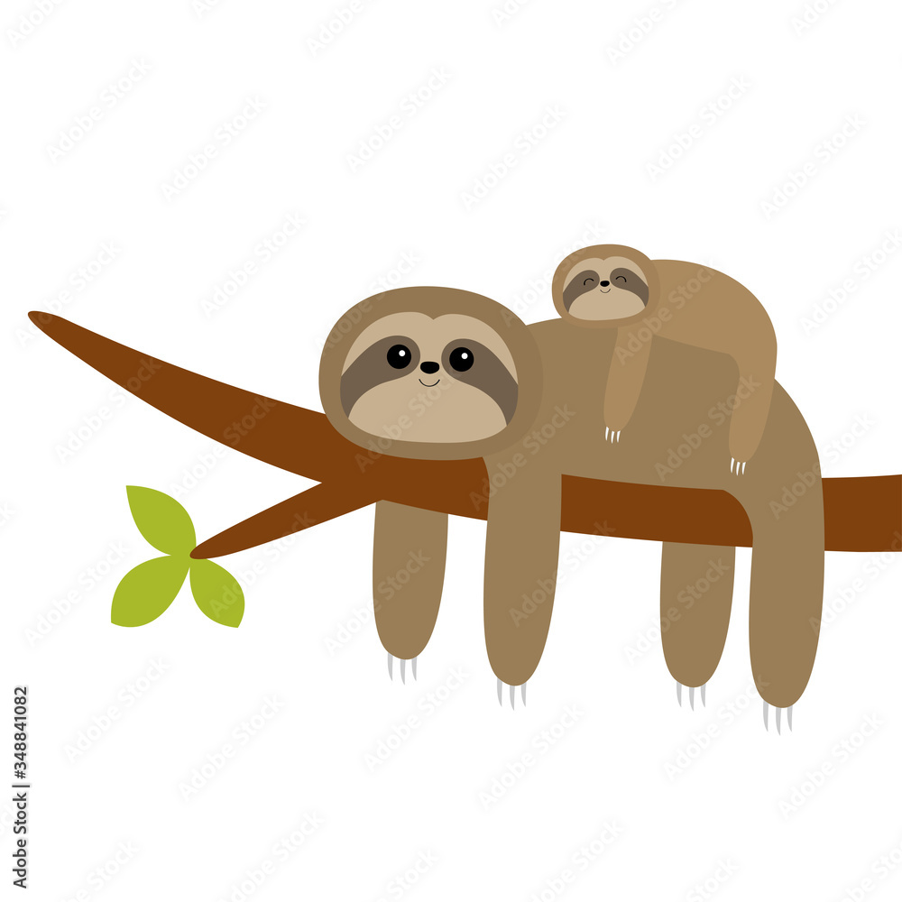 Obraz premium Sloth hanging on tree branch leaf. Cute cartoon kawaii funny lazy character. Mother and baby. Wild joungle animal collection. Kids education. Isolated. White background. Flat design