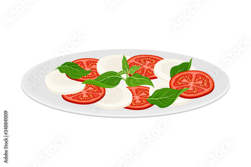 Italian Mozzarella Cheese with Sliced Tomatoes and Greenery Vector Illustration