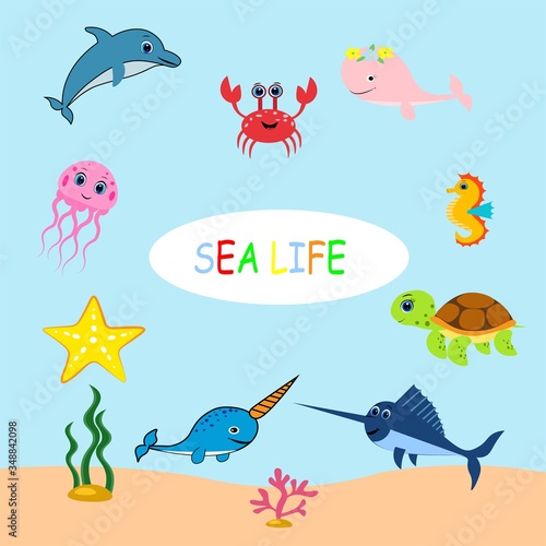 Fototapeta Naklejka Na Ścianę i Meble -  cute sea animals set.cartoon vector illustration. Marine life. 