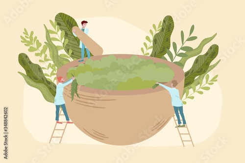 Organic medicine concept with doctors, herbal bio treatment and plants, naturopathy, homeopathy flat vector illustration. Natural bio herbal treatment and alternative organic medicine test by medics.