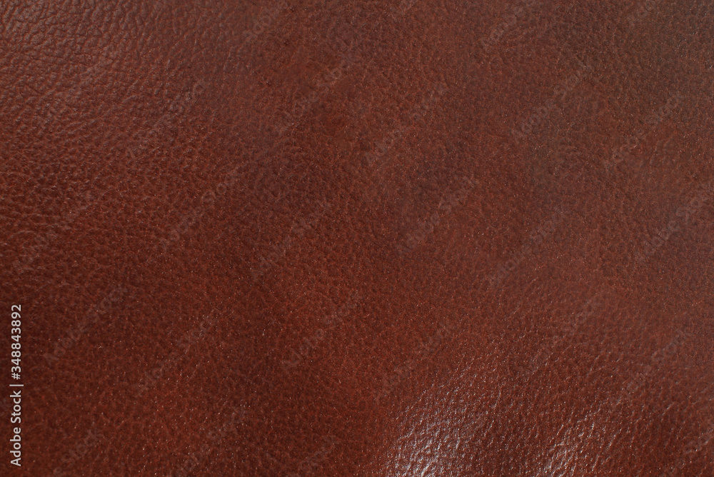 Fototapeta premium Natural leather structure material abstract texture background