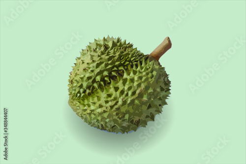 durian isolated on green background