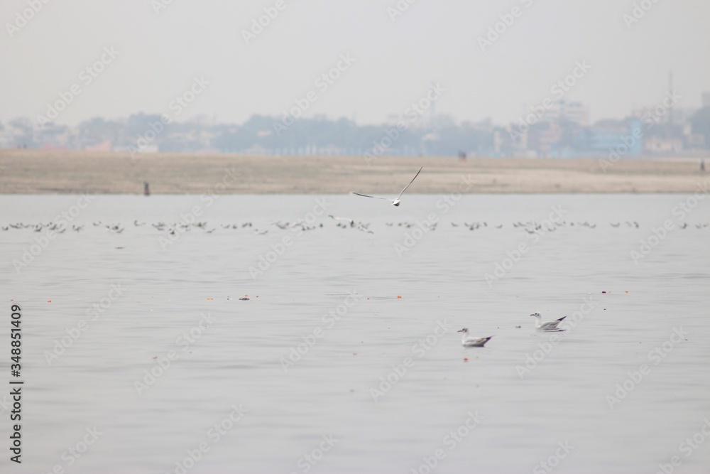 The Holy City of Varanasi, India