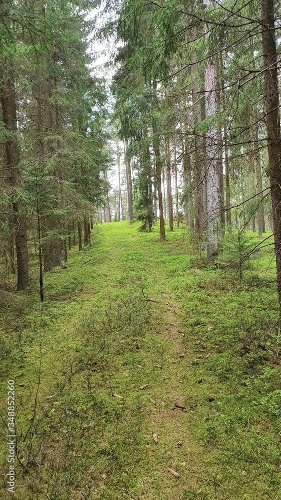 Fototapeta premium Berge Stein Natur 
