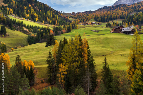 Sunny colorful autumn alpine Dolomites rocky  mountain scene  Sudtirol  Italy. Peaceful view from alpine pass road. Picturesque traveling  seasonal  nature and countryside beauty concept scene.