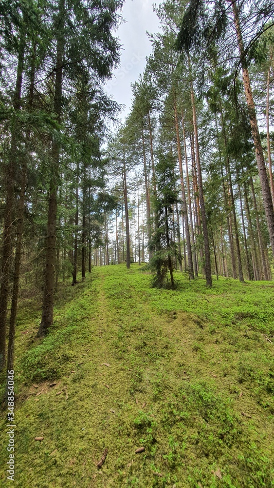 Obraz premium Berge Stein Natur