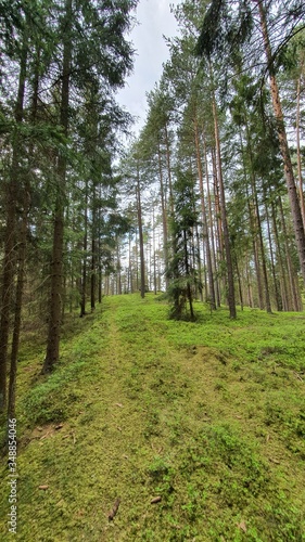 Berge Stein Natur 