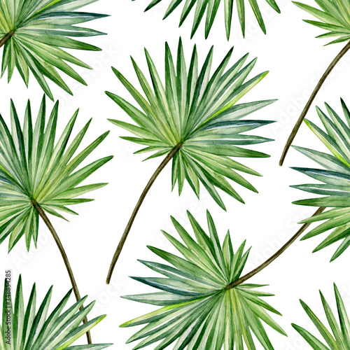 Watercolor hand painted seamless pattern with fan palm leaves on white background. Mnimalistic tropical pattern for trendy design.