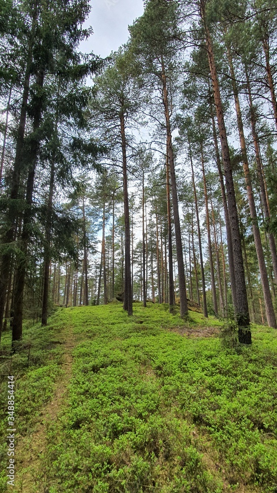 Obraz premium Berge Stein Natur 