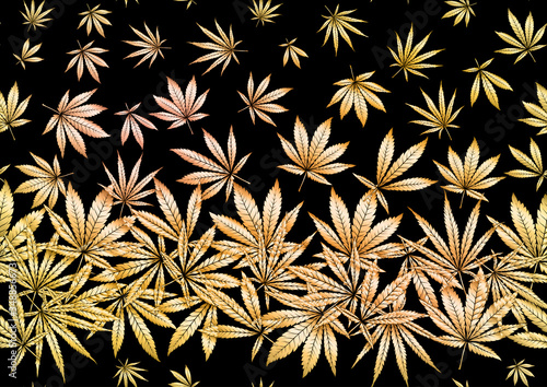 Cannabis leaves seamless pattern, background. Vector illustration in gold colors Isolated on black background.