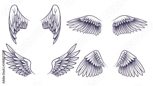 Obraz na płótnie Sketch angel wings