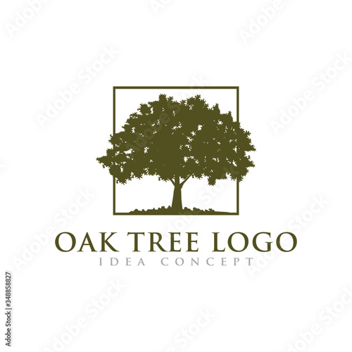 Oak Tree Logo Design Template