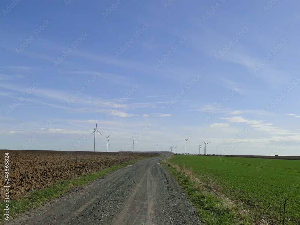 road in the field