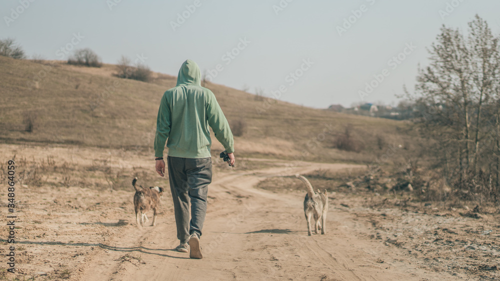 man walking in the countryside with two dogs