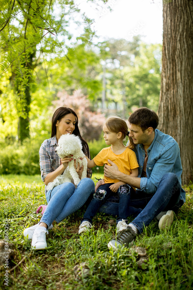 Beautiful happy family is having fun with maltese dog under the tree outdoors