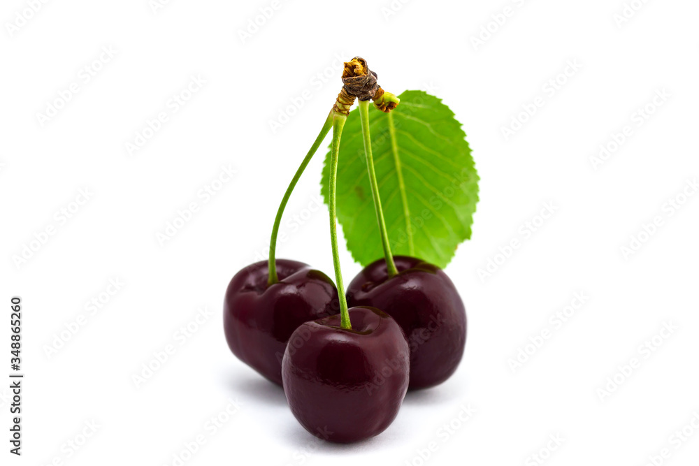 lecker Kirschen liegen vor weißem Hintergrund lecker Kirschen liegen vor weißem Hintergrund