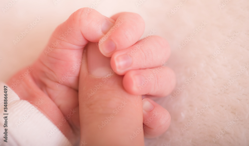 Parent or mother’s hands holding newborn baby fingers. Together love harmony peace family nursery healthcare and medical father’s day concept banner. Touch of love concept. Parent or mother’s hands holding newborn baby fingers. Together love harmony peace family nursery healthcare and medical father’s day concept banner. Touch of love concept.