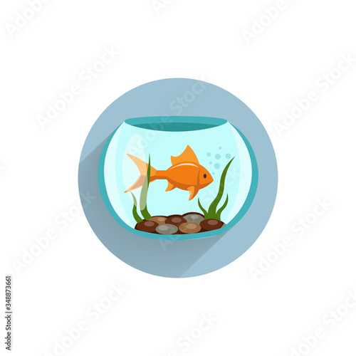 fish in aquarium colorful flat icon with long shadow. aquarium fish flat icon